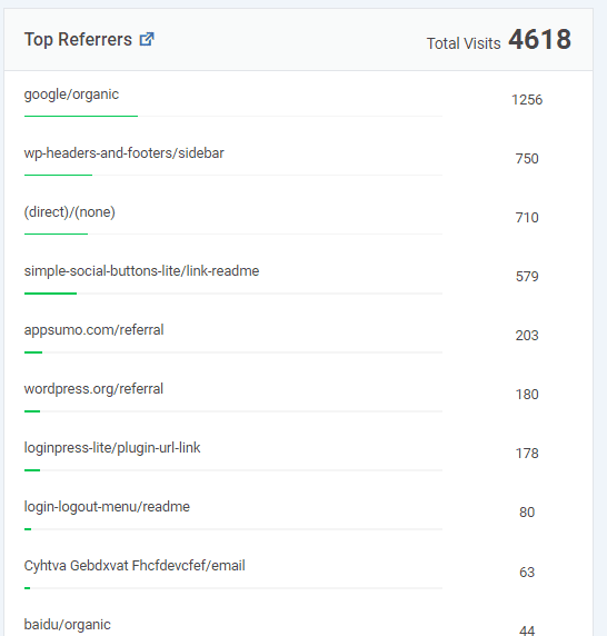 Example of Google Analytics results to see where web traffic is coming from