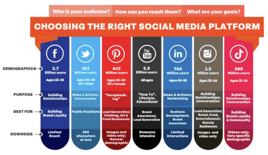 successful social media campaign -  - 2 Comparison of different social media platforms on how they engage target audience.